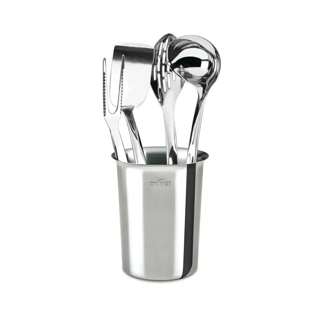 Precision Stainless Steel Tools Set, 5 piece
